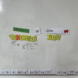 IMG-2985